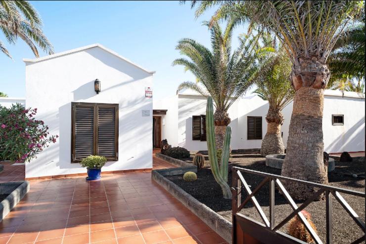Villa Las Palmeras - Casa - 6