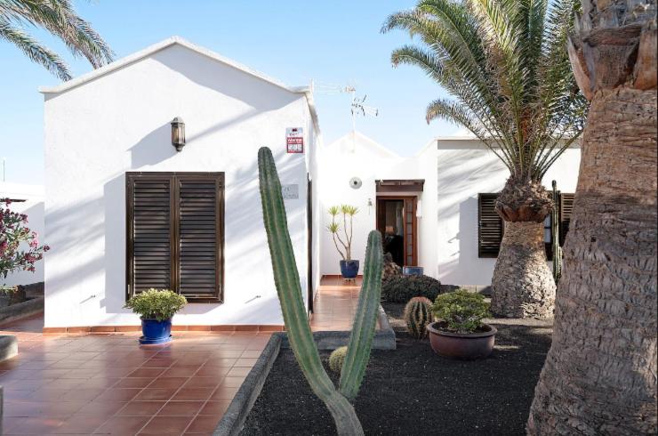 Villa Las Palmeras - Casa - 27