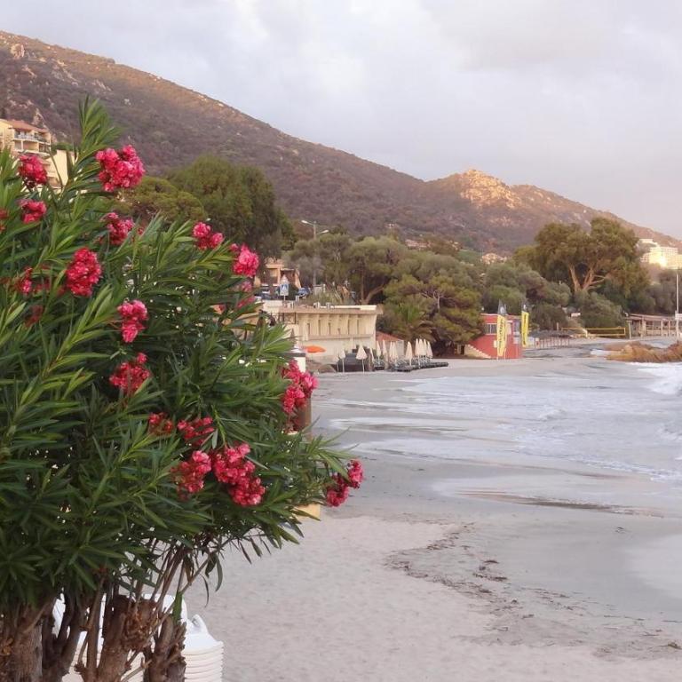 Appartement « Marinella » splendide vue mer aux Sanguinaires - Appartamento con 2 Camere da Letto - 2