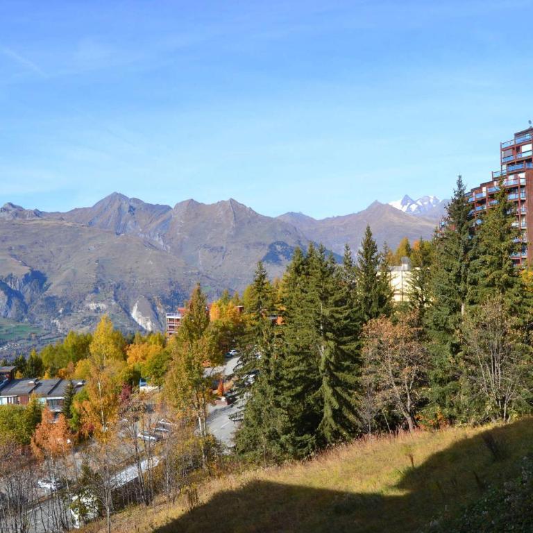 Studio 3 pers au cœur d'Arc 1800, proche pistes et commerces, animaux admis - FR-1-411-142 - Studio - 3