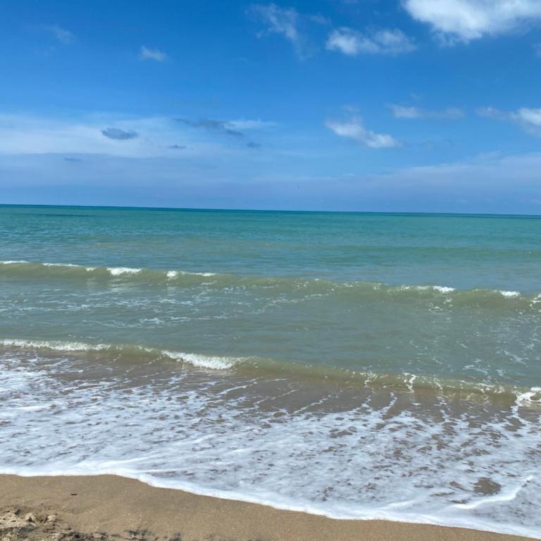 La Candelaria - Casa con 1 dormitorio - 24