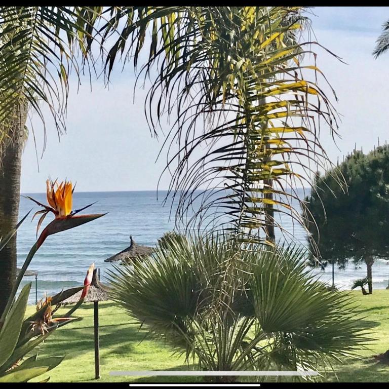 Mi Capricho 2BA Beachfront Complex-Apartment Beachside With sea views - Apartamento de 2 dormitorios - 15