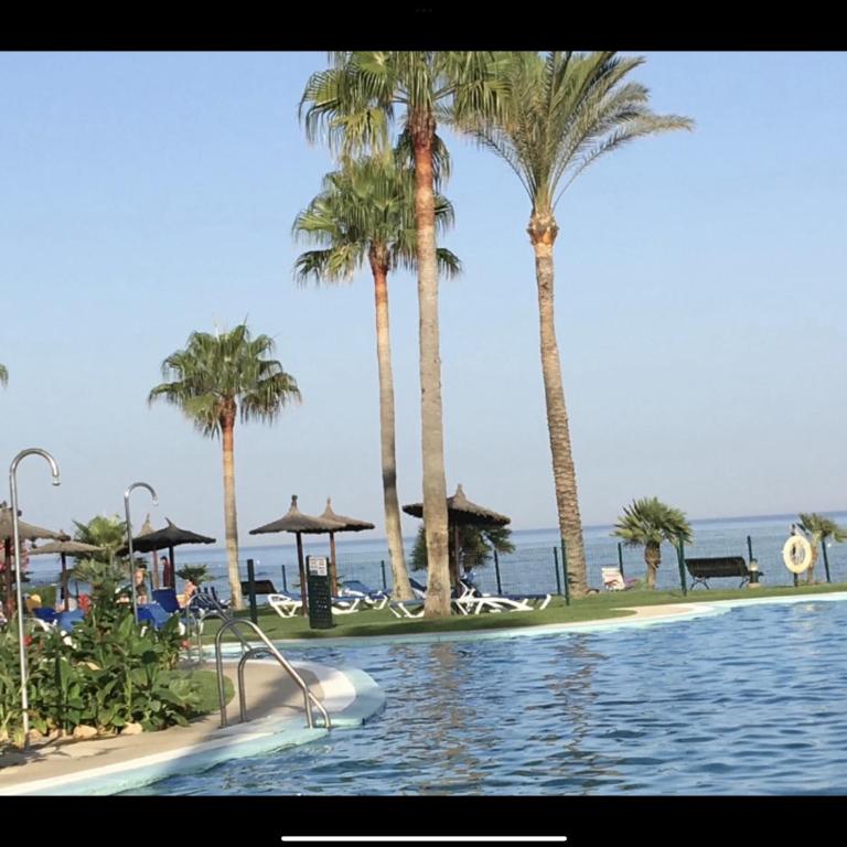 Mi Capricho 2BA Beachfront Complex-Apartment Beachside With sea views - Apartamento de 2 dormitorios - 43