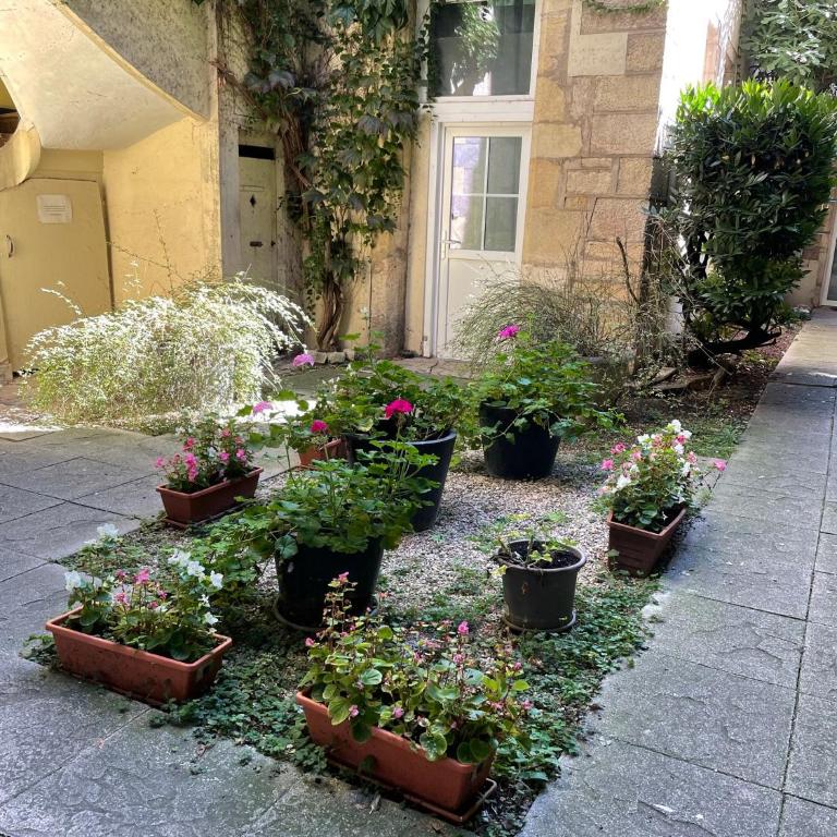 Le Petit Duc - Appartement 1 Chambre - 16