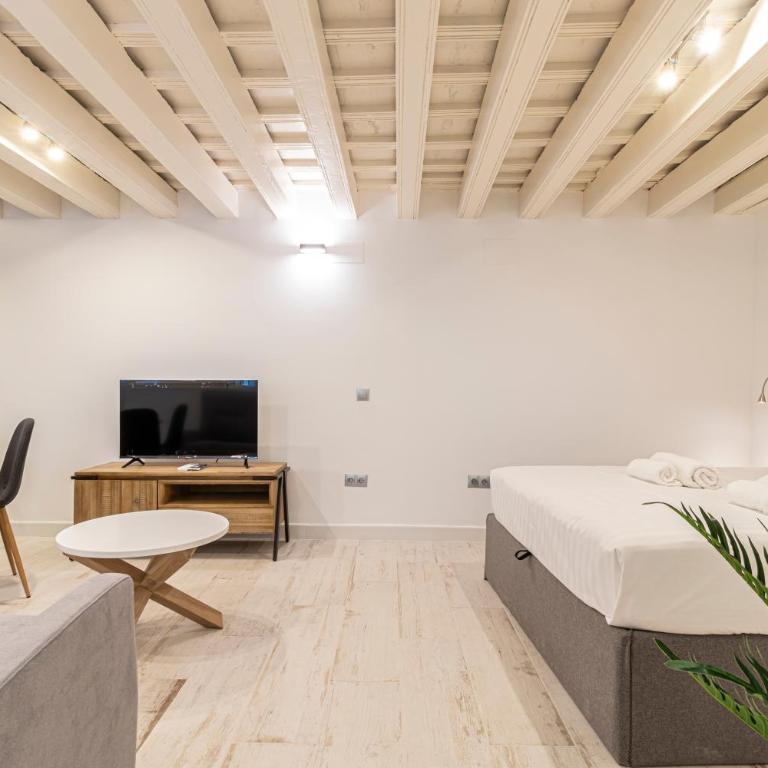 Allo Apartments San Roque 1ºC - Apartamento de 1 dormitorio - 13