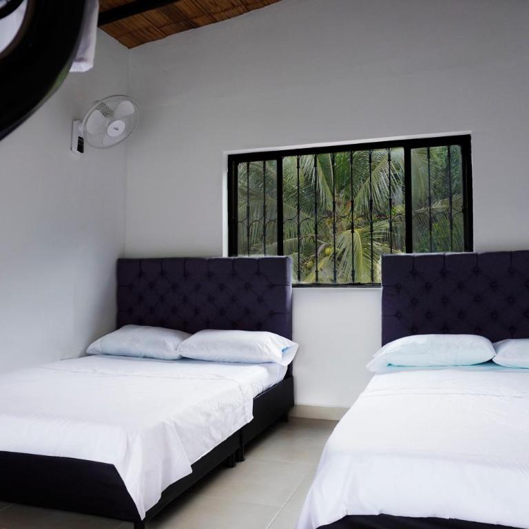 FINCA EL PROGRESO cabañas tipo apartamento - Vacation Home - 10