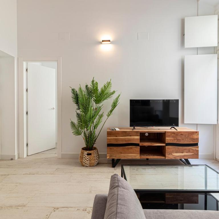 Allo Apartments San Roque 2ºA - Apartamento de 1 dormitorio - 22