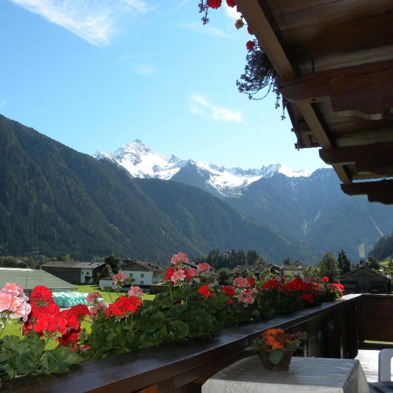 Gästehaus Emberger - Apartment mit 2 Schlafzimmern, einem Balkon und Bergblick - 5
