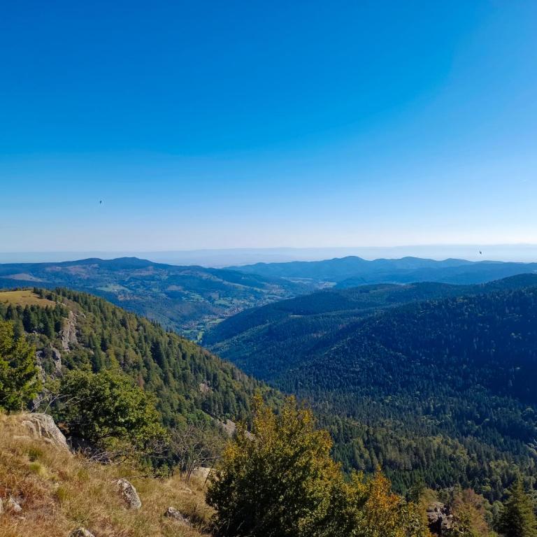 Les Jonquilles: gîte 8/10 pers. avec vue imprenable! - Appartement avec Vue sur la Montagne - 18