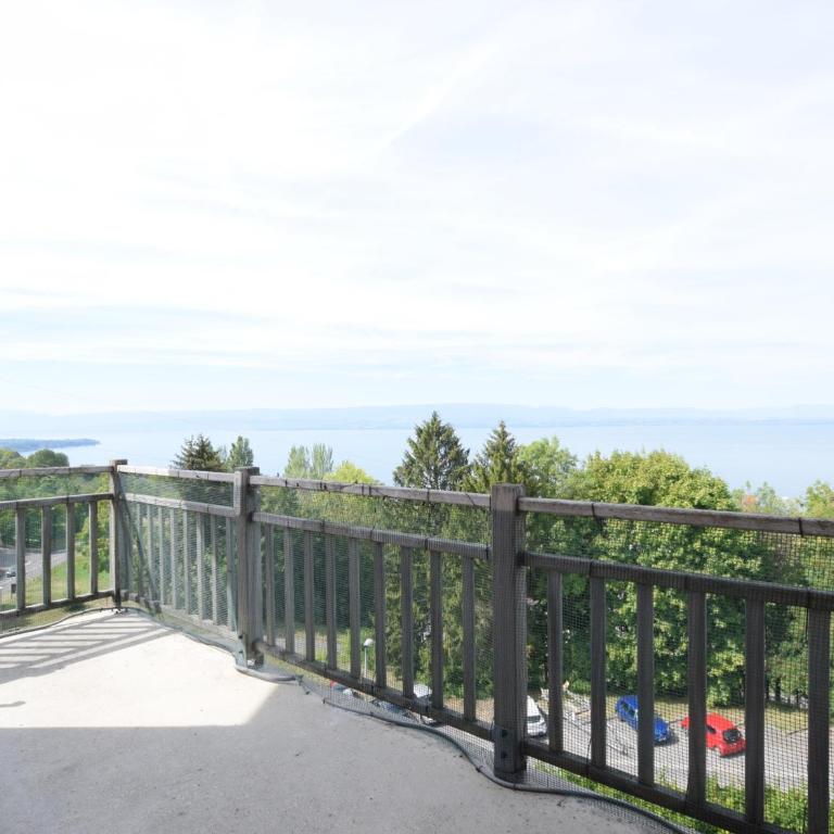 Appartement avec piscine et parking à Évian-les-Bains - Appartement 1 Chambre - 4