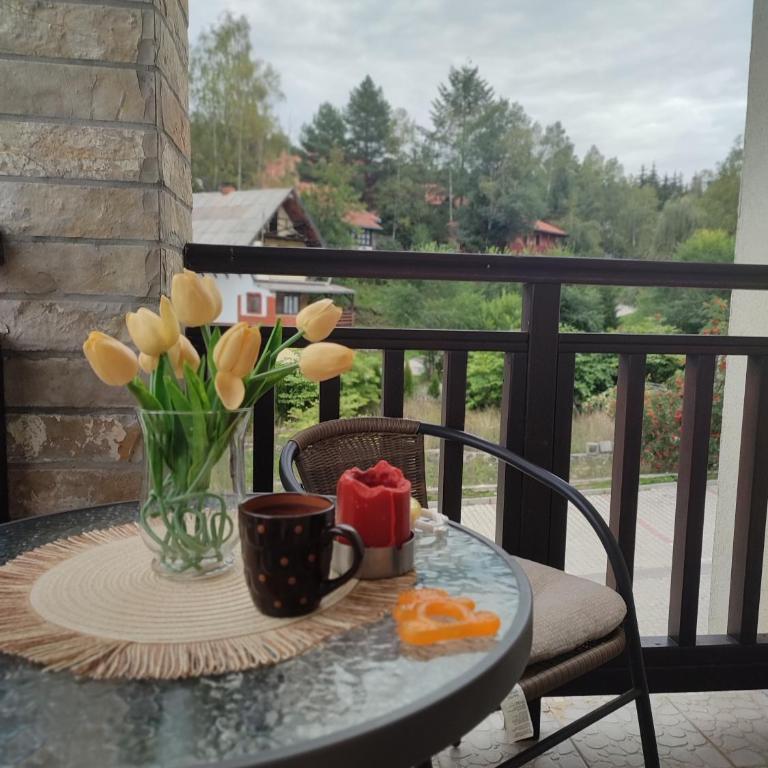 Zlatiborski Konaci-Apartman Maletic - One-Bedroom Apartment - 10