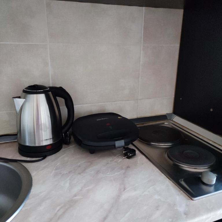 Zlatiborski Konaci-Apartman Maletic - One-Bedroom Apartment - 12