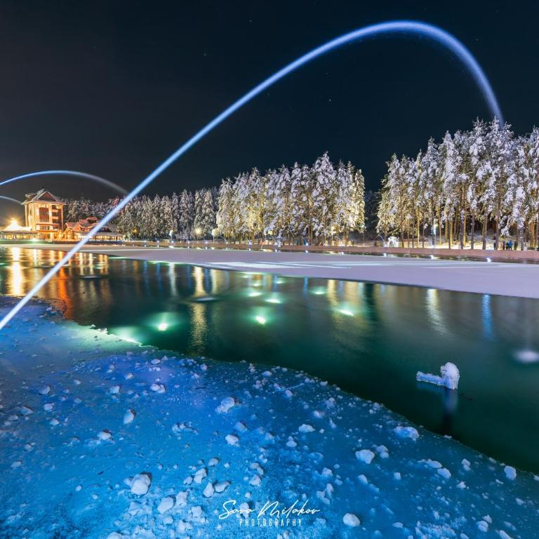 Valentina Spa Zlatibor - Apartman sa 1 Spavaćom Sobom - 29