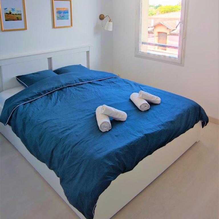 CHIC 2CHAMBRES,70m²+balcon+parking+WIFI - Appartement 2 Chambres - 24