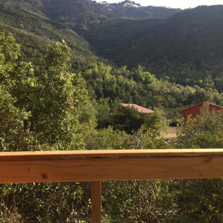 Los Quenes River Lodge - Family Room with Mountain View - 1