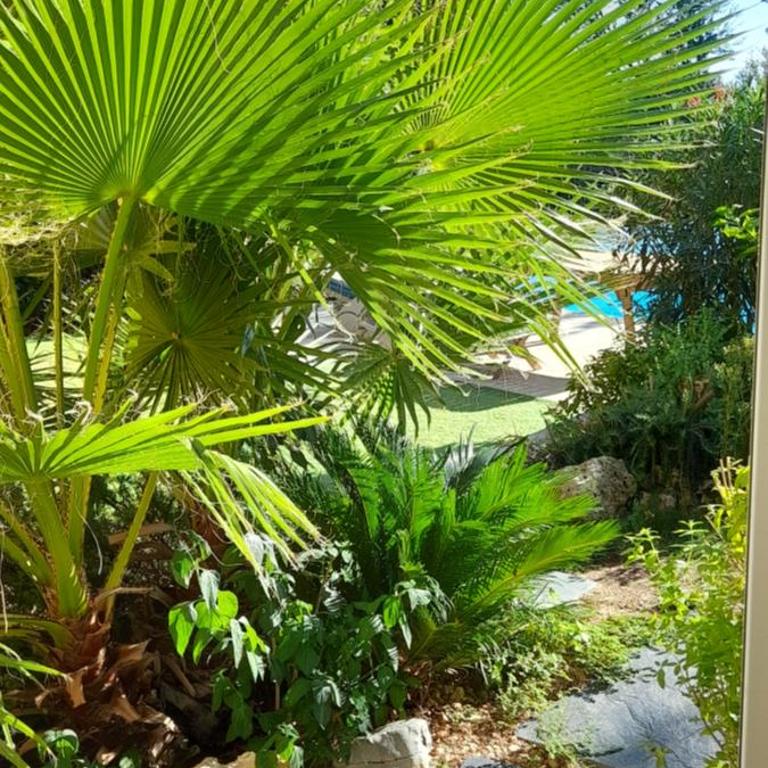 La Villa Provençale - Chambre Double avec Salle de Bains Privative - 1