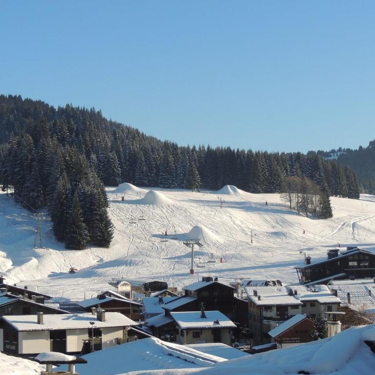 Chalet cosy près du centre, Wifi, Parking, 6 pers. - FR-1-598-16 - Chalet (6 Adulti) - 9