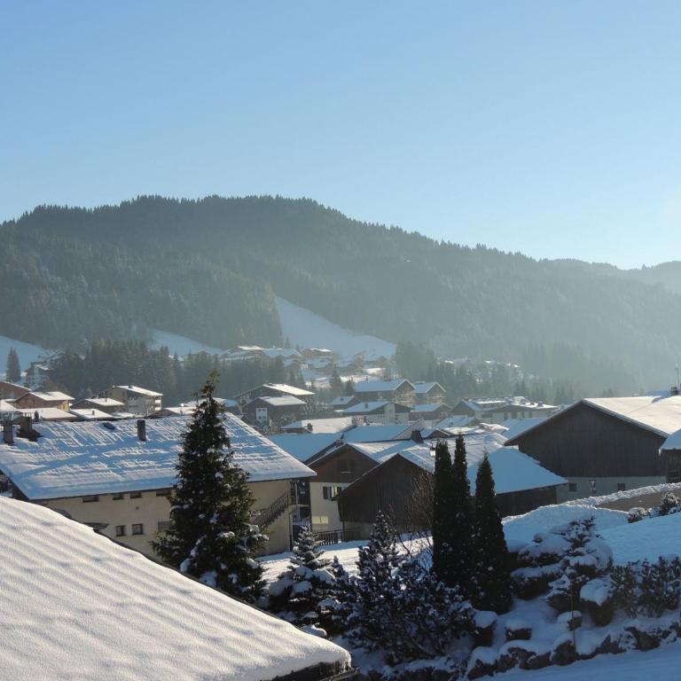 Chalet cosy près du centre, Wifi, Parking, 6 pers. - FR-1-598-16 - Chalet (6 Adulti) - 10