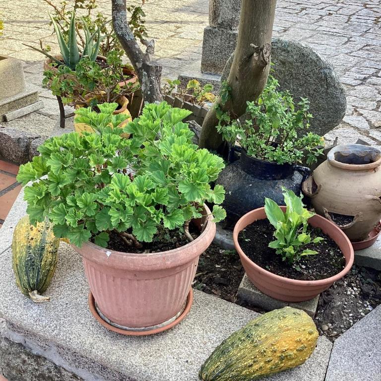 Ático con terraza - Apartamento de 3 dormitorios - 38