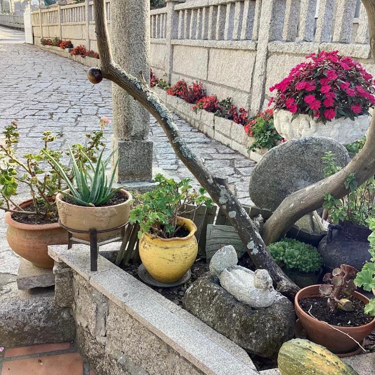 Ático con terraza - Apartamento de 3 dormitorios - 36