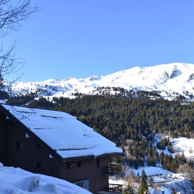Studio confortable pour 4 pers, balcon sud, proche pistes et commerces - Méribel - FR-1-180-26 - Apartamento (4 adultos) - 2
