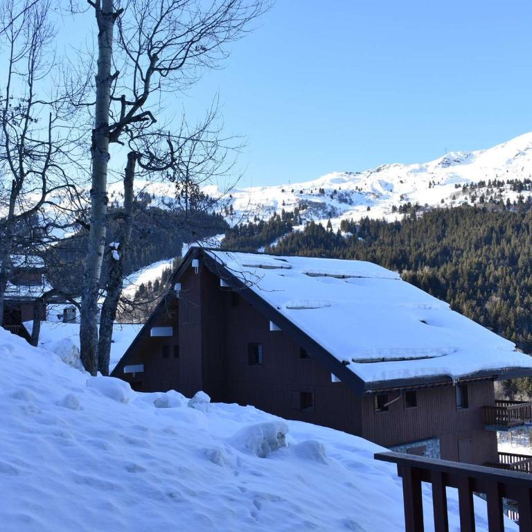 Studio confortable pour 4 pers, balcon sud, proche pistes et commerces - Méribel - FR-1-180-26 - Apartamento (4 adultos) - 3