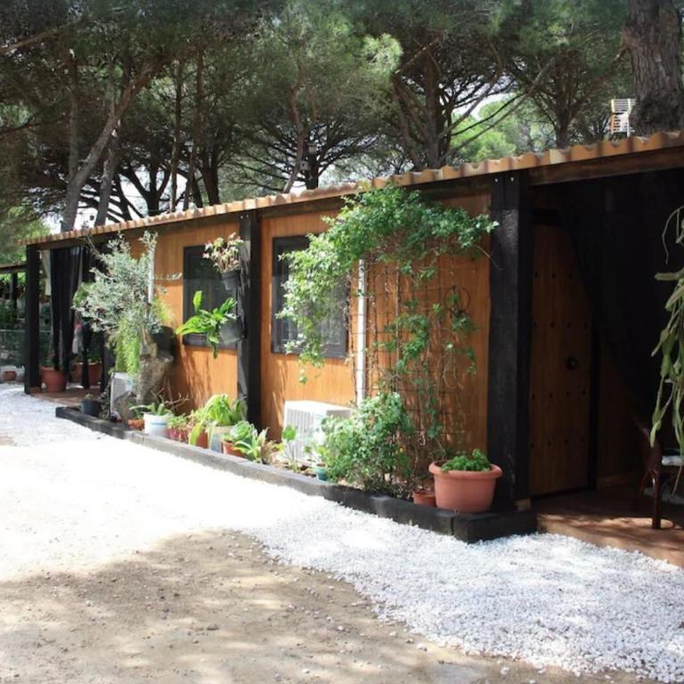 Bungalow para quienes buscan tranquilidad - Apartamento de 2 dormitorios - 1