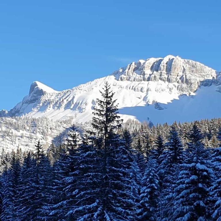 Ferienwohnung Susanne Hillbrand - Appartement avec Vue sur la Montagne - 54