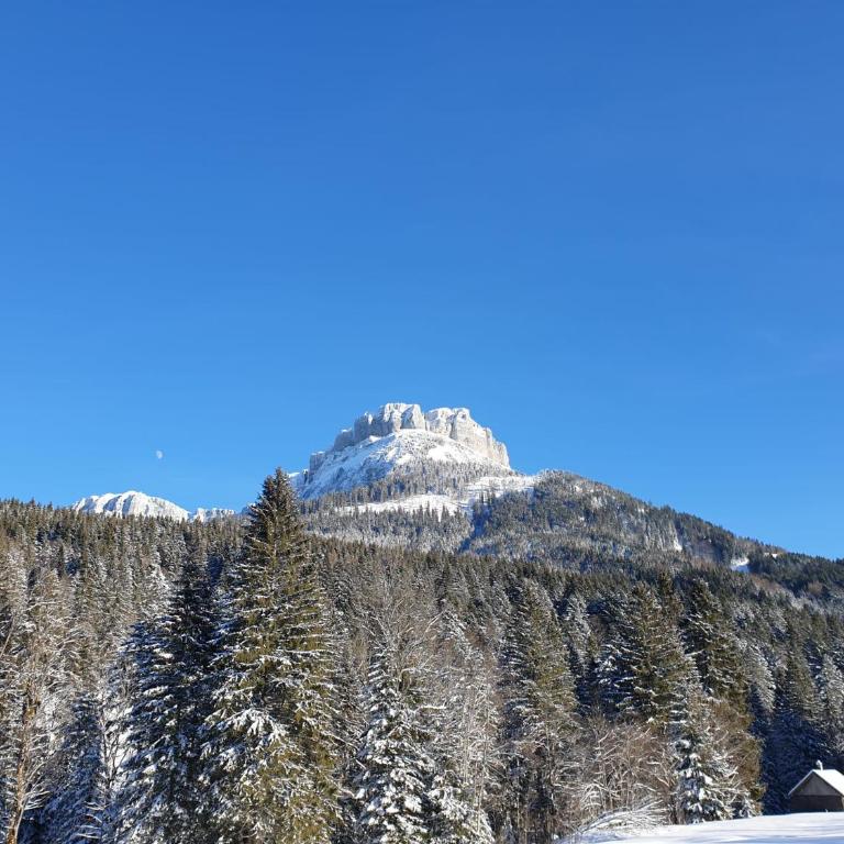 Ferienwohnung Susanne Hillbrand - Appartement avec Vue sur la Montagne - 55