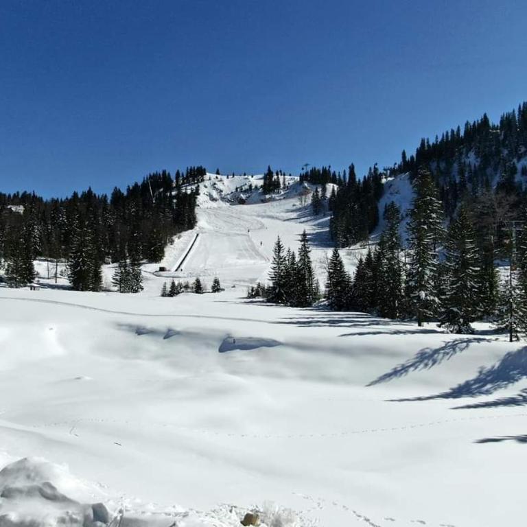 Apartman Dea - Ski-to-Door Apartment with mountain view - One-Bedroom Apartment - 19