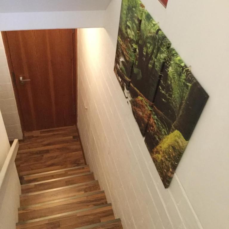 FERIENWOHNUNG FORSTPANORAMA - Appartamento con 1 Camera da Letto - 10