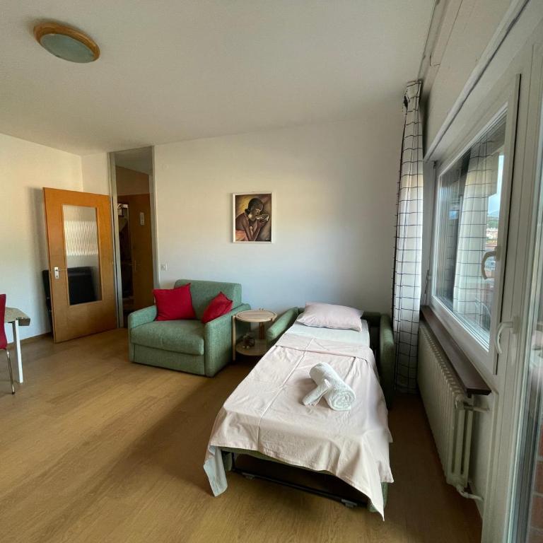 Karl&Deby Lugano stazione/centro - Appartamento con 1 Camera da Letto - 40