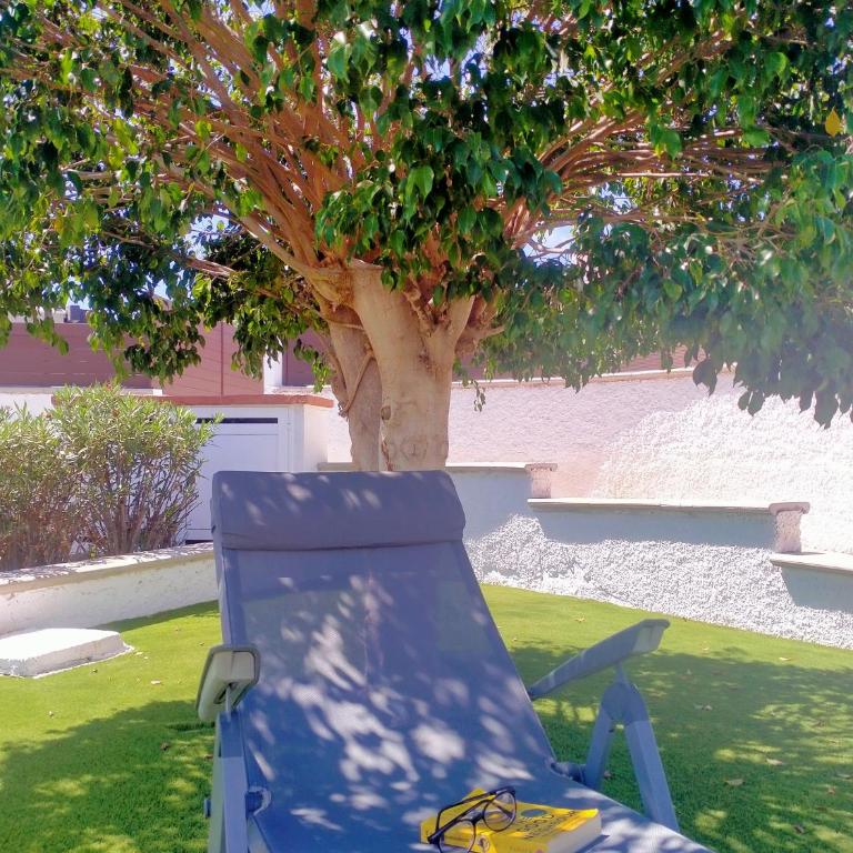 Bungalow Colorado with garden #4 - Apartment with Garden View - 5