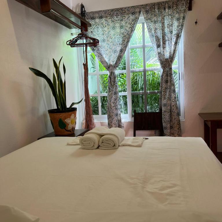 Casa Lomas del Marinero Internet Starlink SIN GARAJE - Apartamento de 1 dormitorio - 2