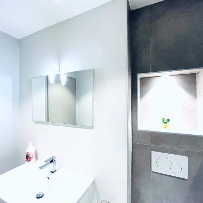 Le White Cosy à 5 minutes du Lac avec parking privatif gratuit - Appartement 1 Chambre - 20