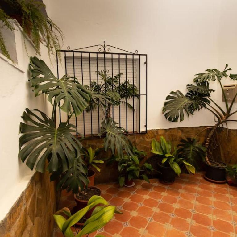 Precioso piso de 3 dormitorios, cocina y 1 baño - Apartamento de 3 dormitorios - 2