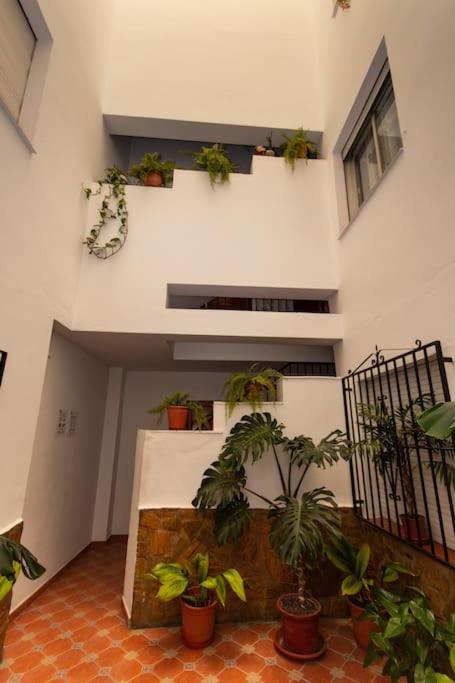 Precioso piso de 3 dormitorios, cocina y 1 baño - Apartamento de 3 dormitorios - 9