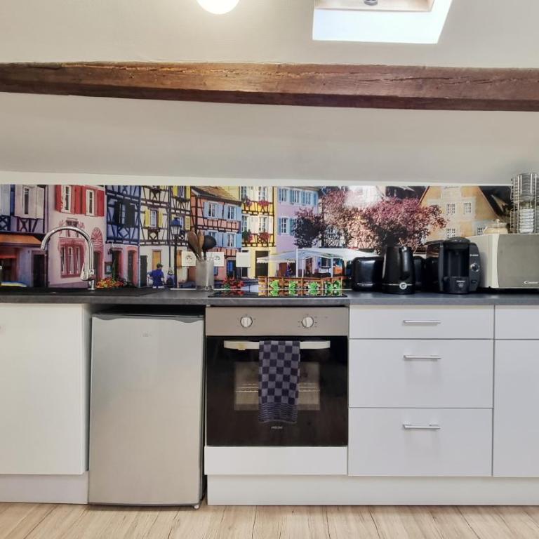 2 Charmants logements * CHARMANT GITE COLMAR * - Appartement 1 Chambre - 25
