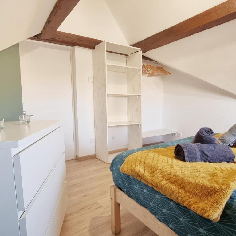 2 Charmants logements * CHARMANT GITE COLMAR * - Appartement 1 Chambre - 24