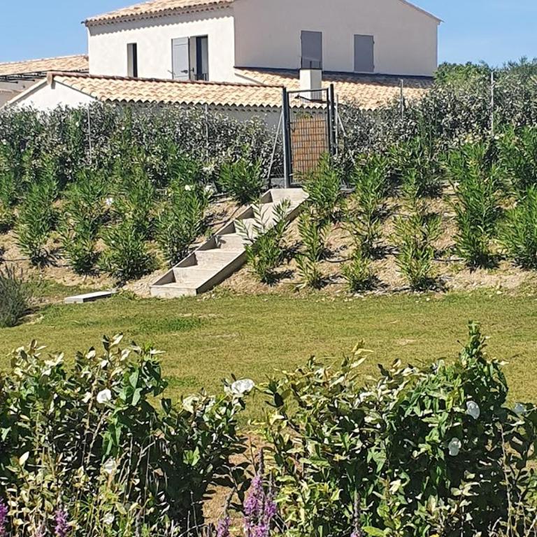 Onze Villa in Provence, Mont Ventoux, New Luxury Villa, Private Pool, Stunning views, Outdoor Kitchen, Big Green Egg - Haus mit 4 Schlafzimmern - 27