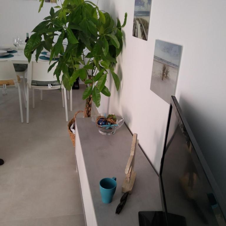 Brisas del Medano - Apartamento de 2 dormitorios - 7