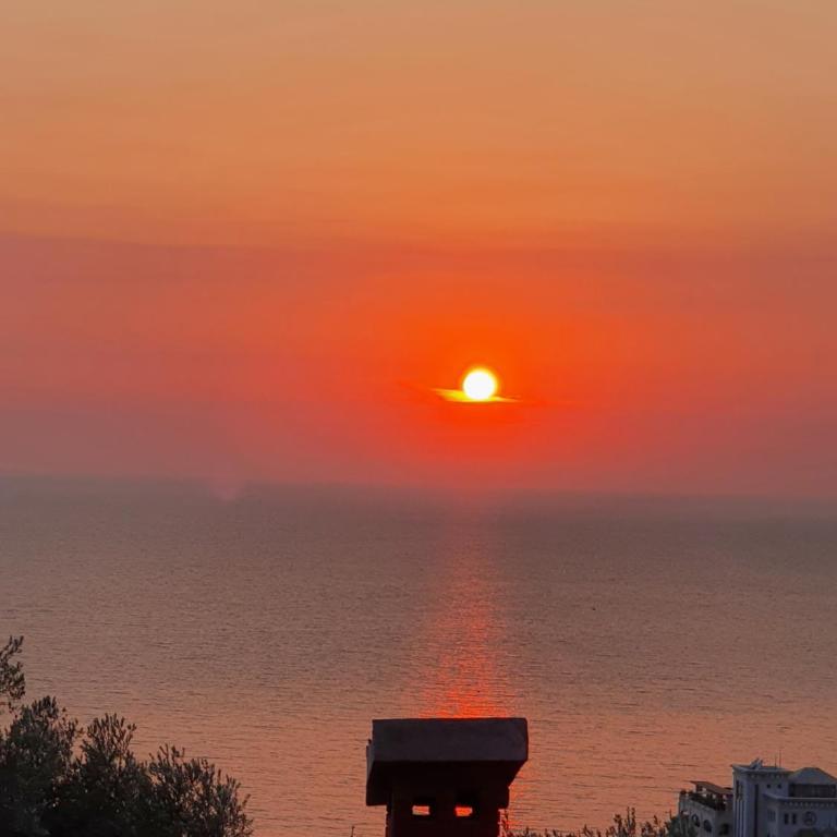 Stone house Djakonovic - One-Bedroom Apartment - 29