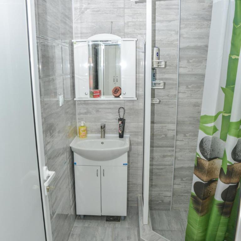 Apartmani Milenkovic - Apartman sa 1 Spavaćom Sobom - 10