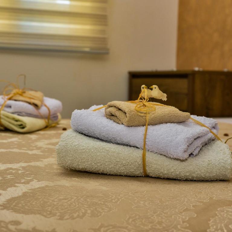 Apartmani Milenkovic - Apartman sa 1 Spavaćom Sobom - 12
