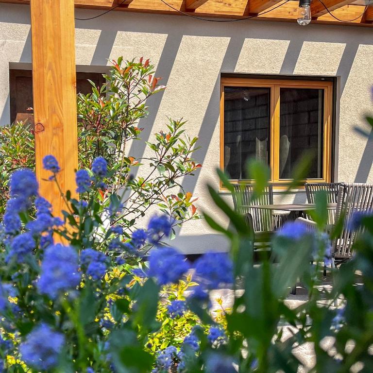 Hilburgerhof - Appartamento con 3 Camere da Letto - 15