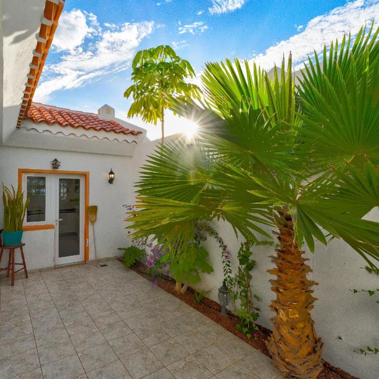 Marvelous holiday home - villa La Caleta - Villa - 46