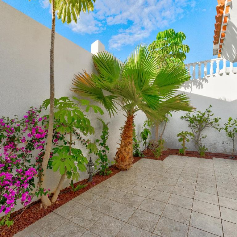 Marvelous holiday home - villa La Caleta - Villa - 50