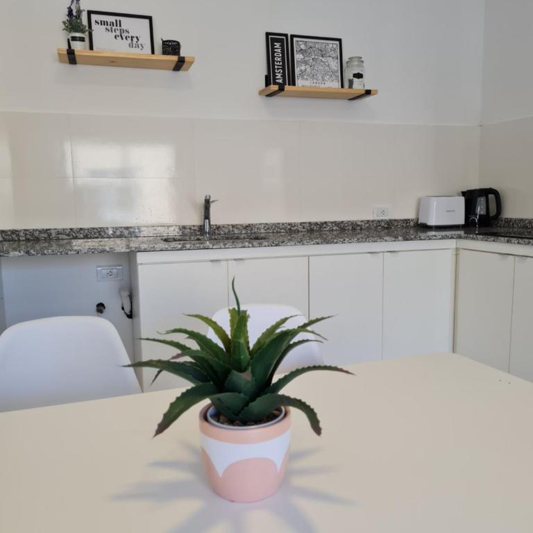 Moderno departamento en Mendoza con cochera - Apartamento de 1 dormitorio - 16