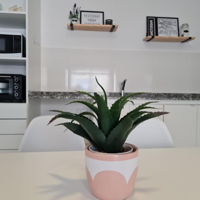 Moderno departamento en Mendoza con cochera - Apartamento de 1 dormitorio - 41