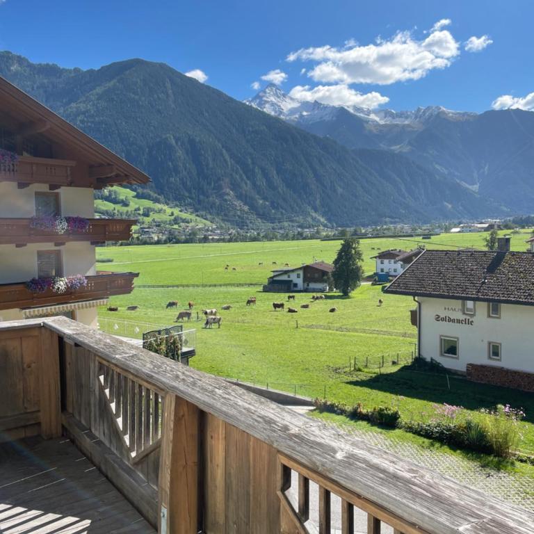 Ferienwohnung Rauch Mathilde - Apartment mit Blick auf die Berge - 16
